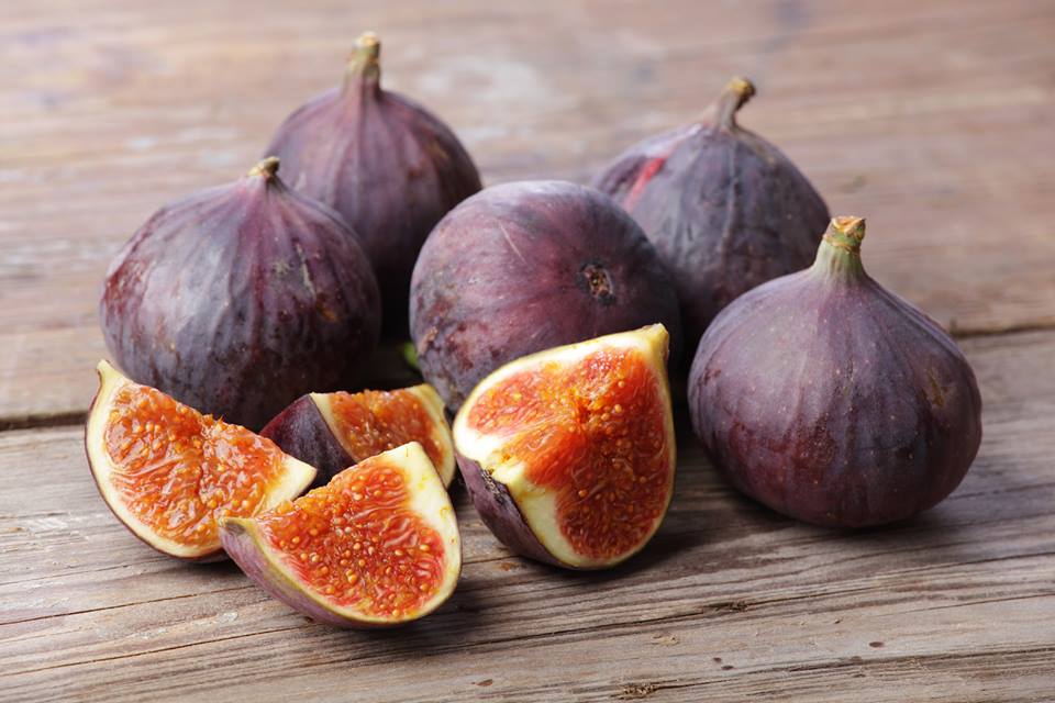 fig fruit